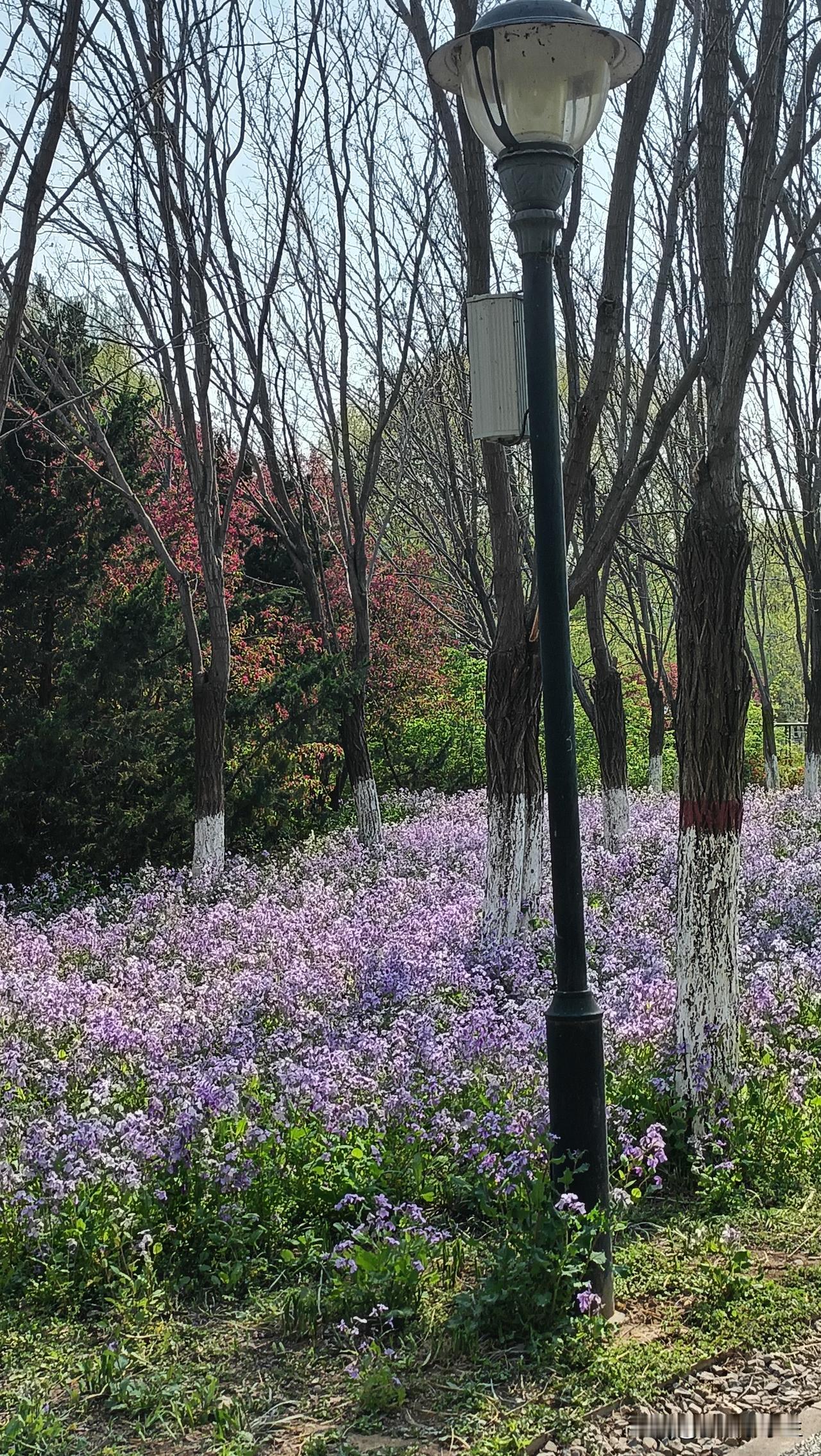 当你后来知道你的出生并不受父母欢迎，你是什么心理？从小到大，我知道我父母重男