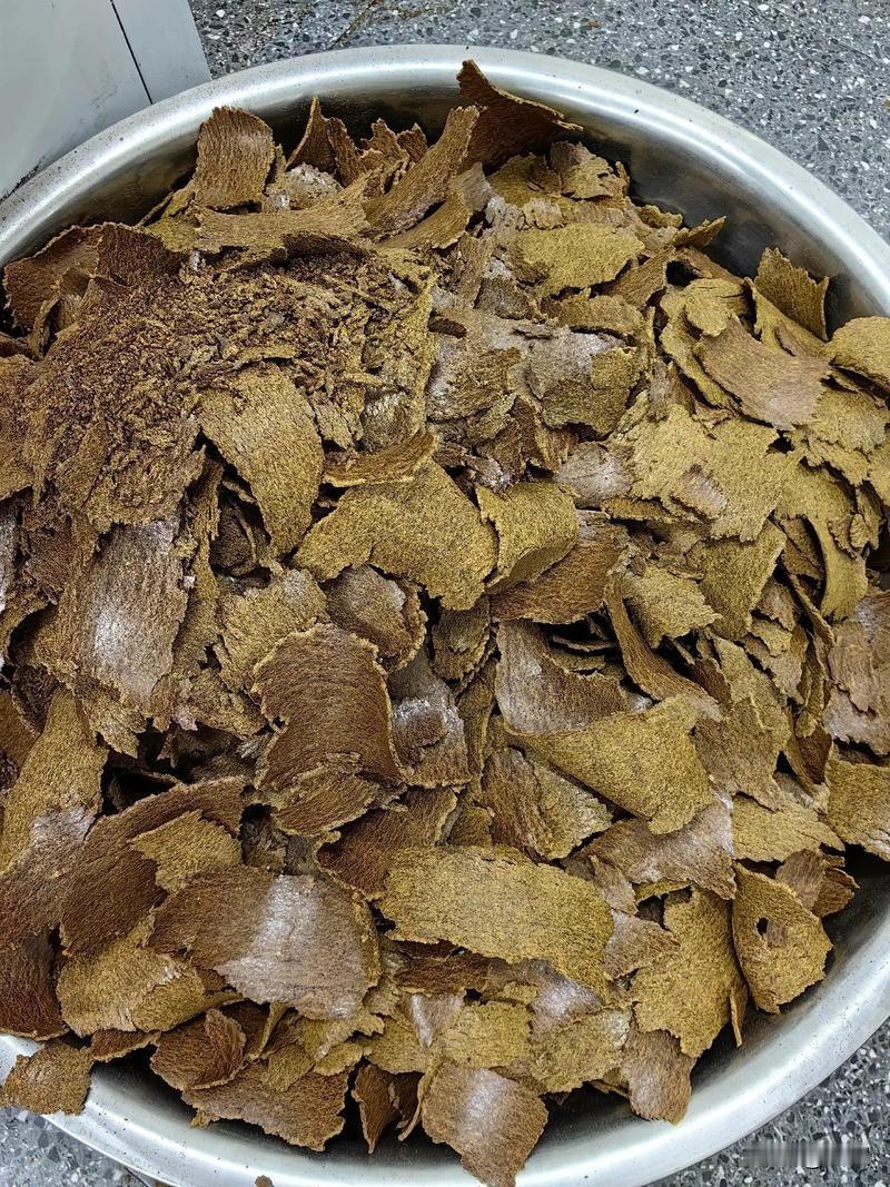 种白萝卜能否施菜籽饼肥我种萝卜这些年经常有人问，白萝卜到底能不能用菜籽饼肥？