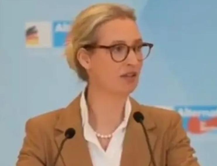 德国选择党领袖：待我们掌政，将让泽连斯基为炸掉我们的输气管道付出代价1月26