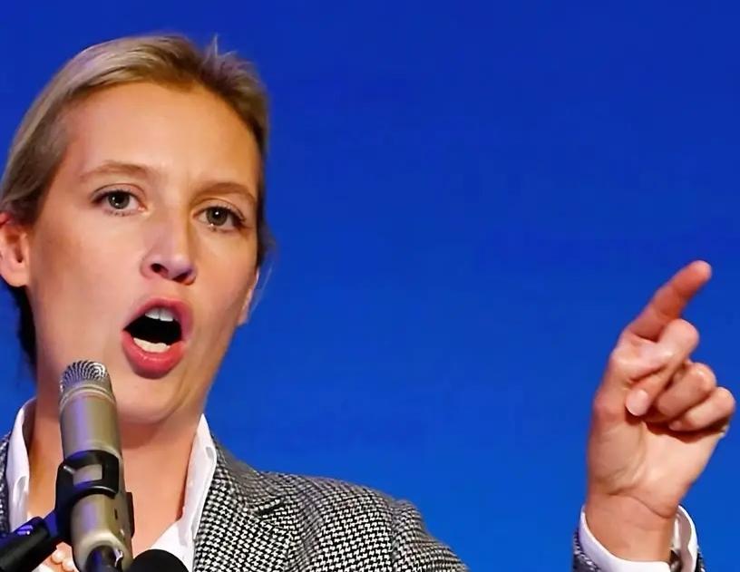 特朗普支持魏德尔《每日镜报》报道，德国政府有人将魏德尔领导的德国选择党归为极右