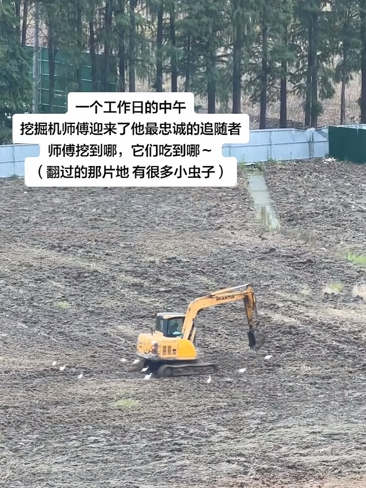 以为是儿童玩具