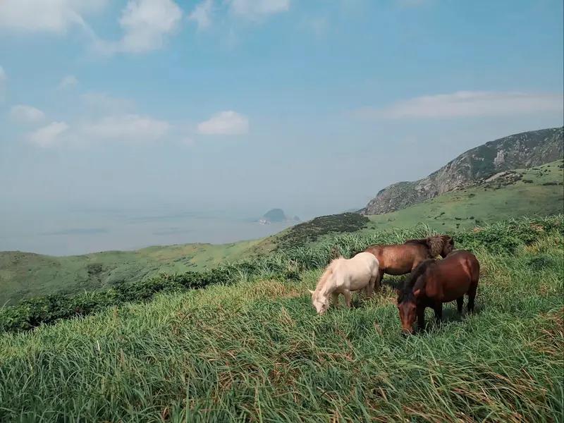 我心中最美的风景在嵛山岛。它是“中国十大最美海岛”之一，岛上连绵的草甸就像绿色海