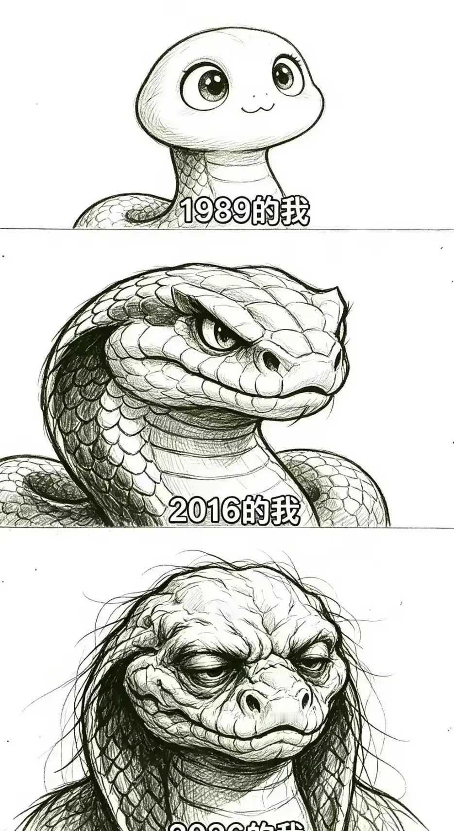 这就是人生啊