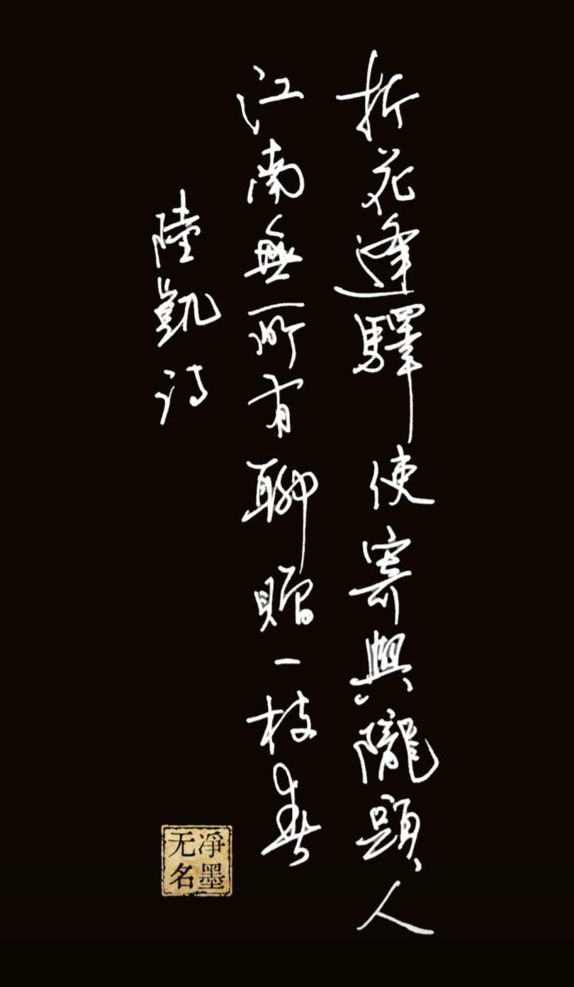 普通钢笔抄写南北朝陆凯《赠范晔诗》写偶遇驿使折梅寄给远方友人，以一枝梅花捎去