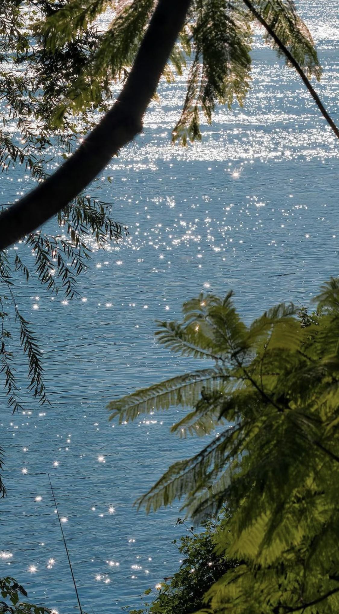 人一定要大量读书！我发现长期读书的人都有一个共性：内心有静气，遇事不慌张。