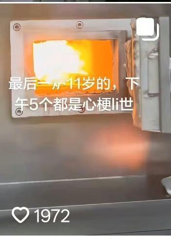 看到一个殡仪馆工作的人发的视频，脑梗、心梗去世的年轻人真的越来越多。不到殡仪馆，