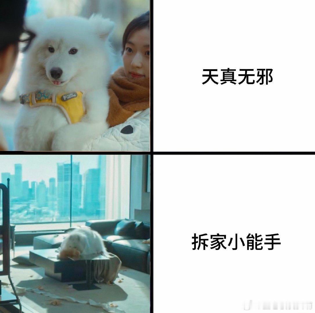 #早春晴朗品鉴大赛#这个《早春晴朗》真的太好看了！嘴毒心软的栾念&可爱坚定的尚之桃太般配了～栾念你就