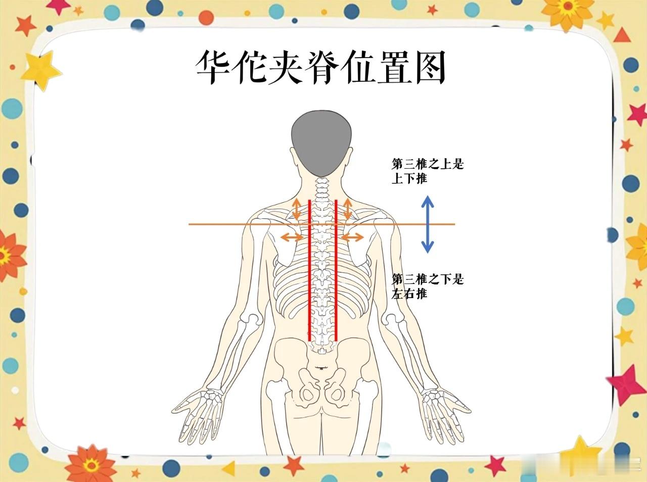 调理小儿疳积，华佗夹脊穴华佗夹脊穴是调理小儿疳积（消化不良、营养不良）的特效穴