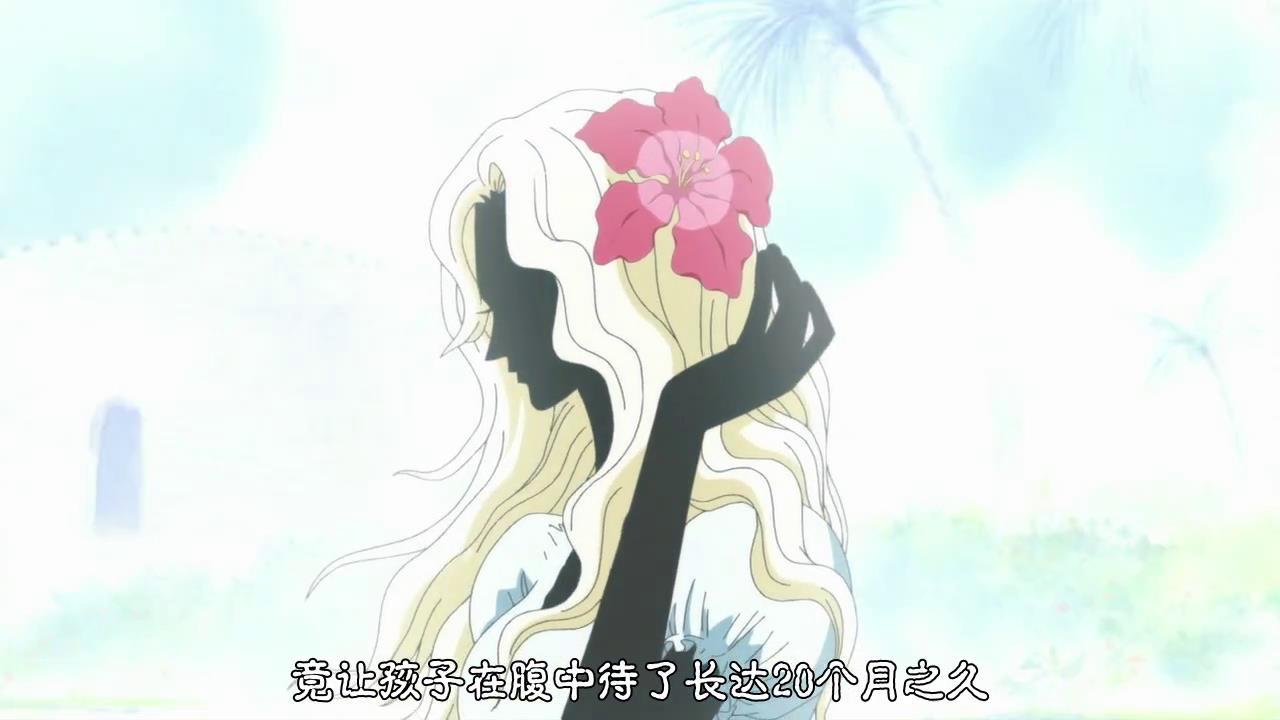 海贼王海贼王今天是这位伟大而又美丽的母亲波特卡斯·D·露玖的生日了