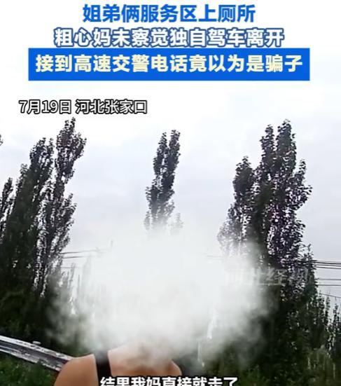 “心是真大！”近期，河北张家口，一女子高速服务区上完厕所后，竟将带去的俩孩子落在