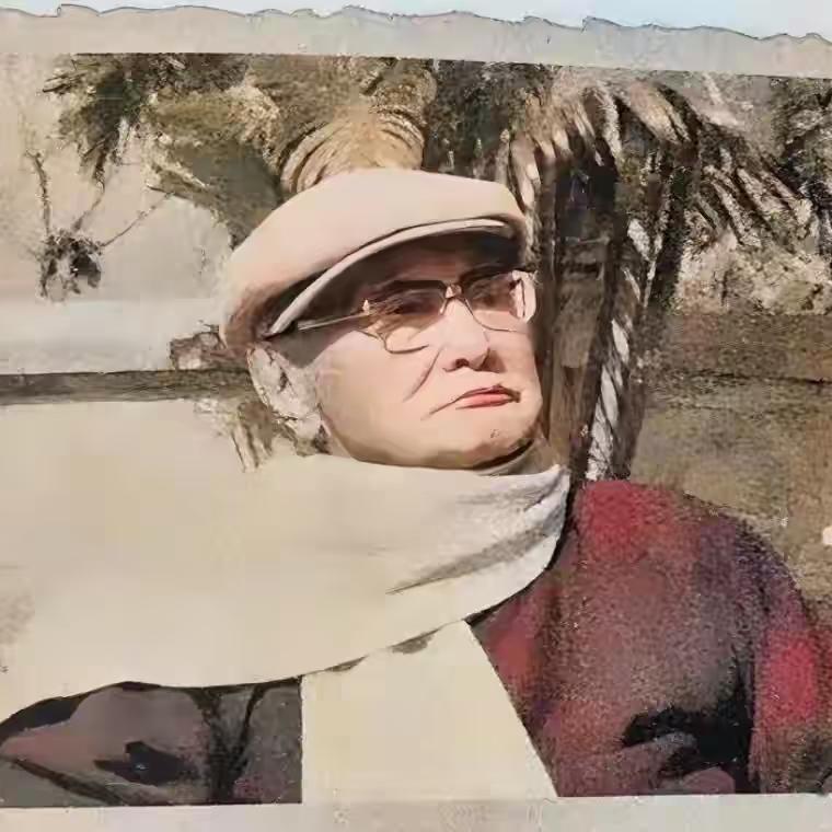 何应钦晚年一张罕见留影里，他静坐在庭院椅上沐着暖阳，架着眼镜、围裹围巾，身形佝偻