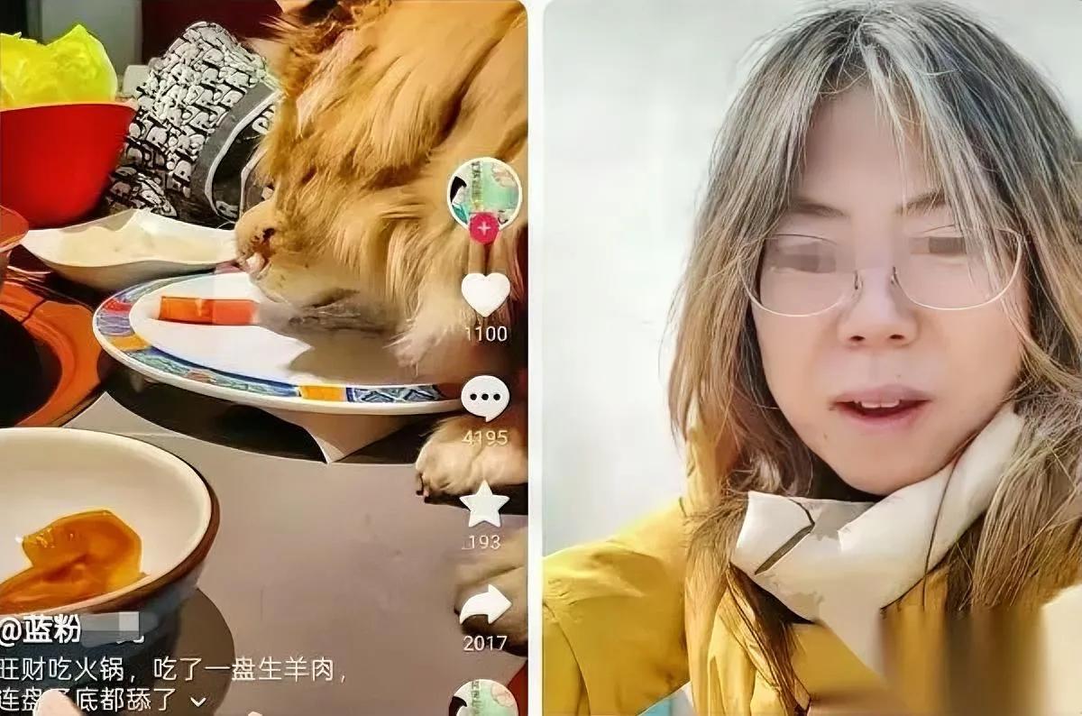狗姐火了，饭店却惨了。就因为她把狗抱上桌，跟人同吃一盘涮肉？那天在王