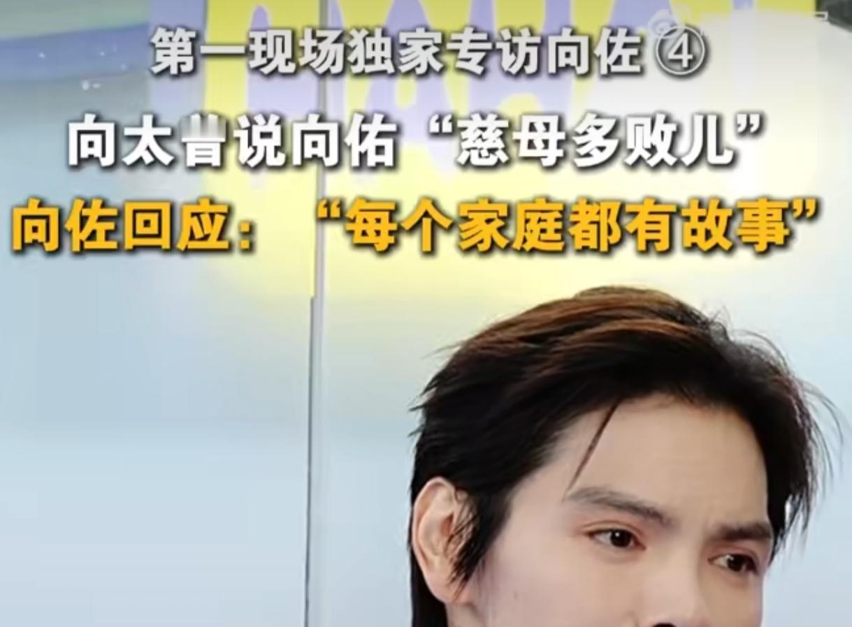 向佐首谈弟弟向佑：每个家庭都有故事，血浓于水的情分拆不散最近向佐接受采访，