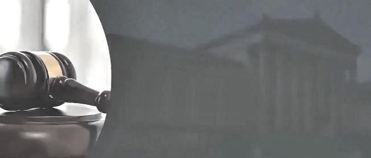 美：老弟呀！这回接待规格真没得说，红地毯、三军仪仗队，连献花的小姑娘都穿得那么喜