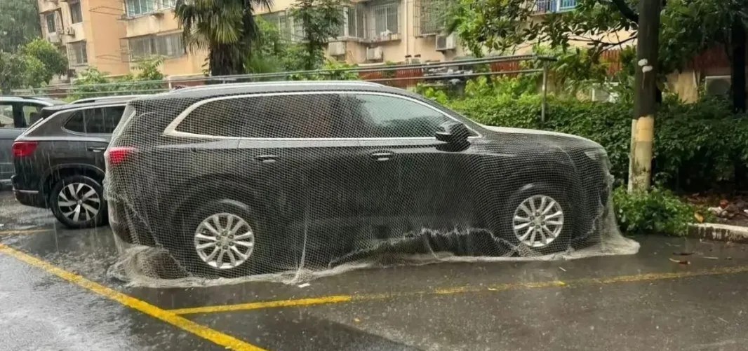 车上面的网有什么作用吗放风还是挡雨