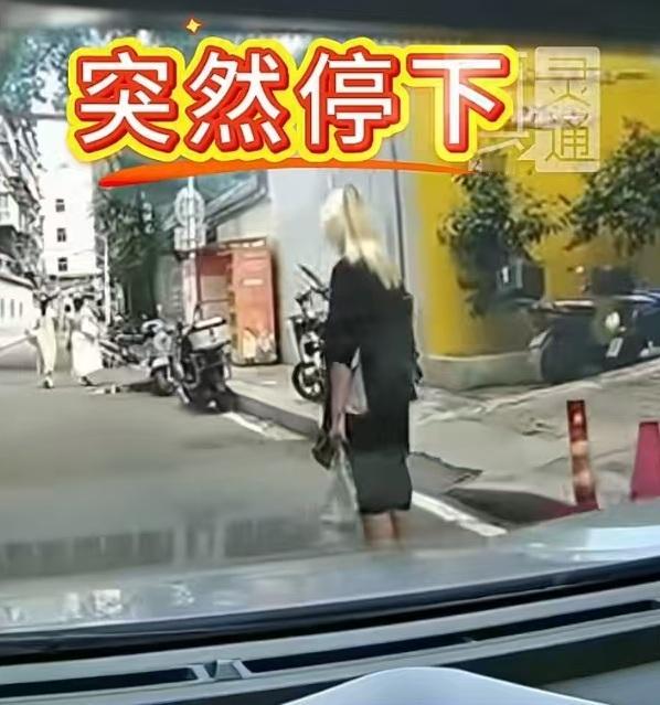 交警：他撞到你了没？仙女：没有。交警：他在你后面鸣笛了没？仙女：没有。交