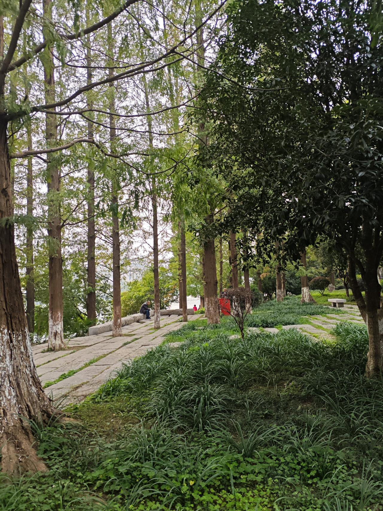 幼儿园倒闭潮的出现，根源在于出生人口的持续下降。近年来，育龄妇女数量持续减少，生