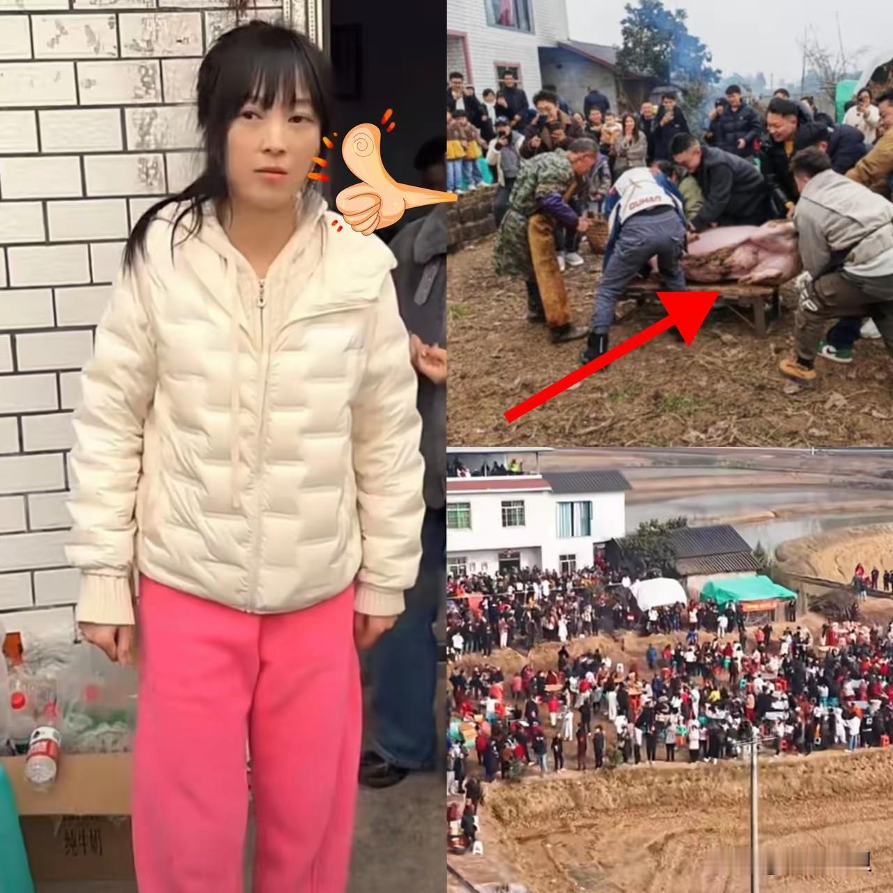 合川呆呆杀猪宴爆火背后是什么。我想呆呆本是一个带有玩笑口吻求助视频，她