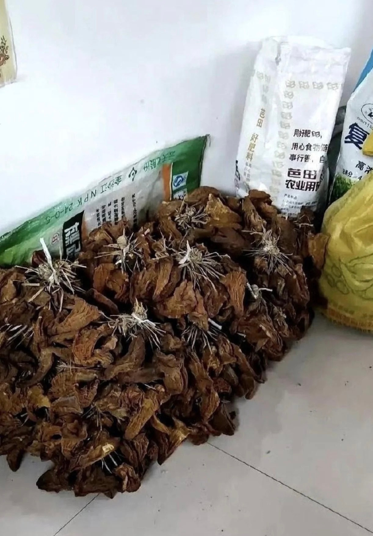 这才是真正的大户人家，太羡慕了！