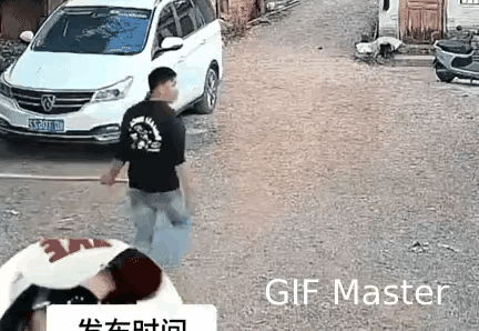 谁能想到？村口那只没人认的野黑狗，居然练过“功夫”！之前每次路过都被它追着咬，