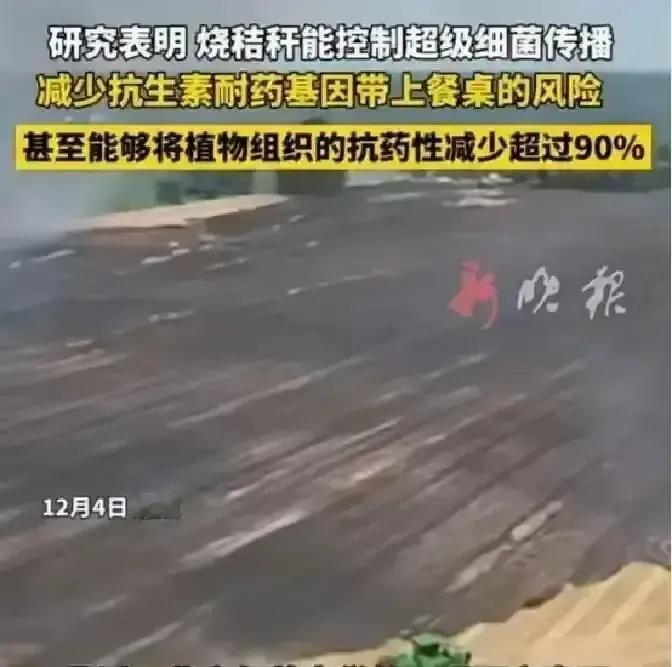 北师大那帮搞环境的人把秸秆点着玩，温度卡在三百来度，让它慢慢冒烟，烧完剩下一层黑