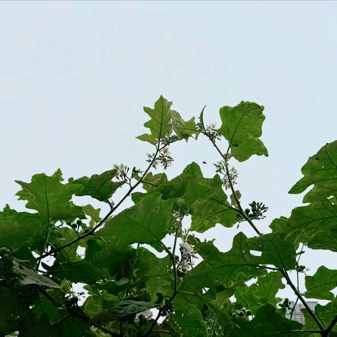 内蒙古：执纪审查1人 4月1日晚，自治区执纪审查1人，为通辽市的政府系统原官