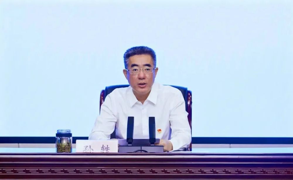 孙轶履新商务部, 此前在江苏任职