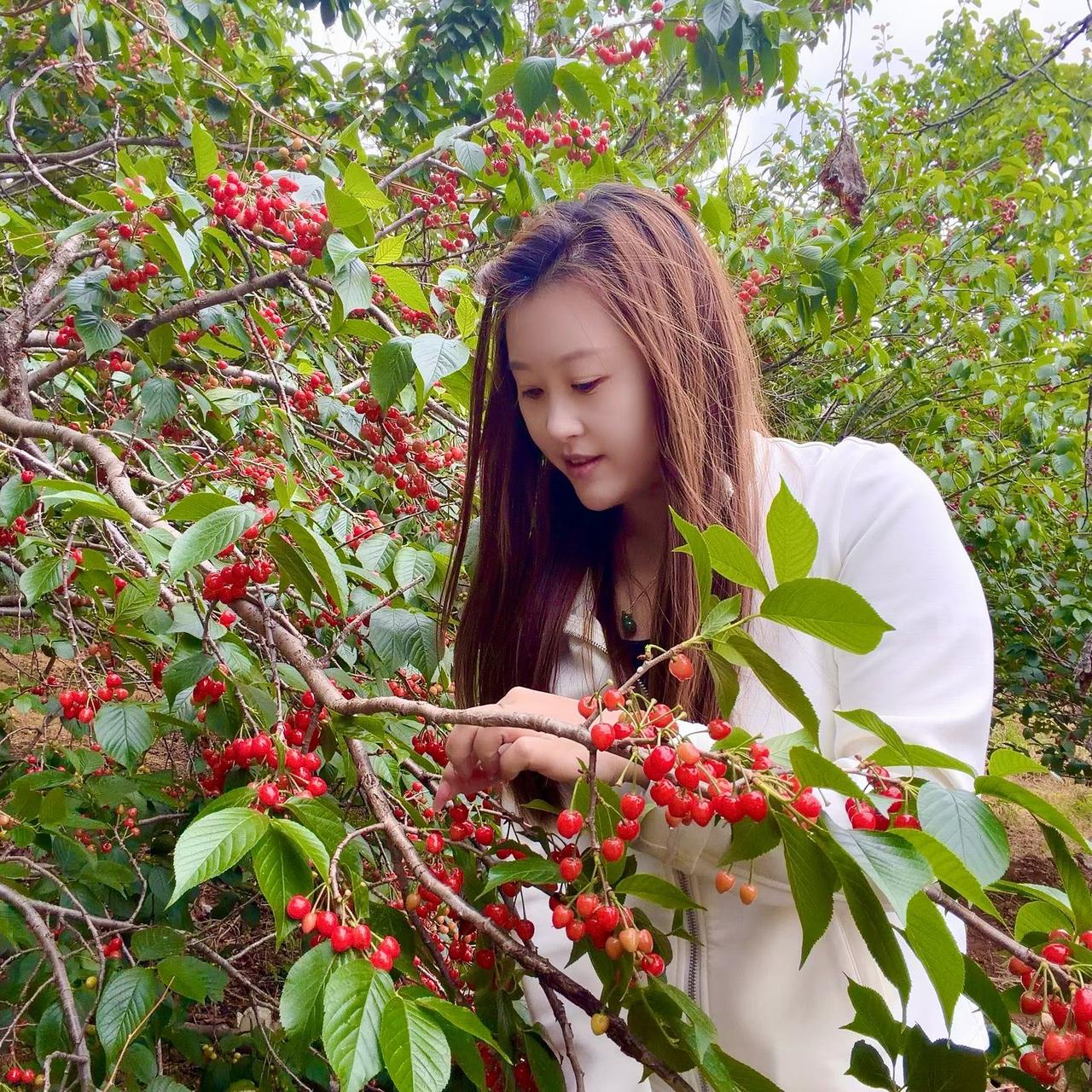 老婆三天没吃饭了，就那么直挺挺地躺在床上，像个拔了管的活死人。因为我们的亲儿子
