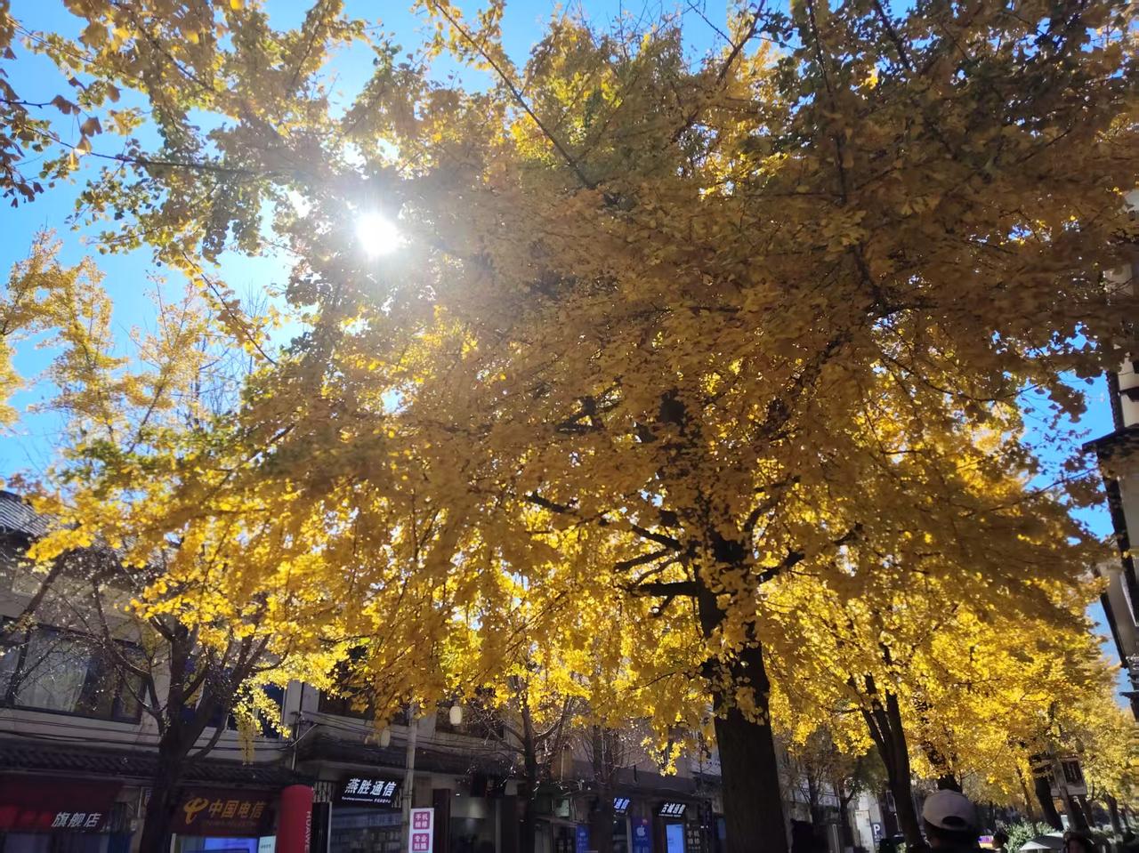 假如没有六镇起义:尔朱荣:我依然还是老家秀容部落的话事人。高欢