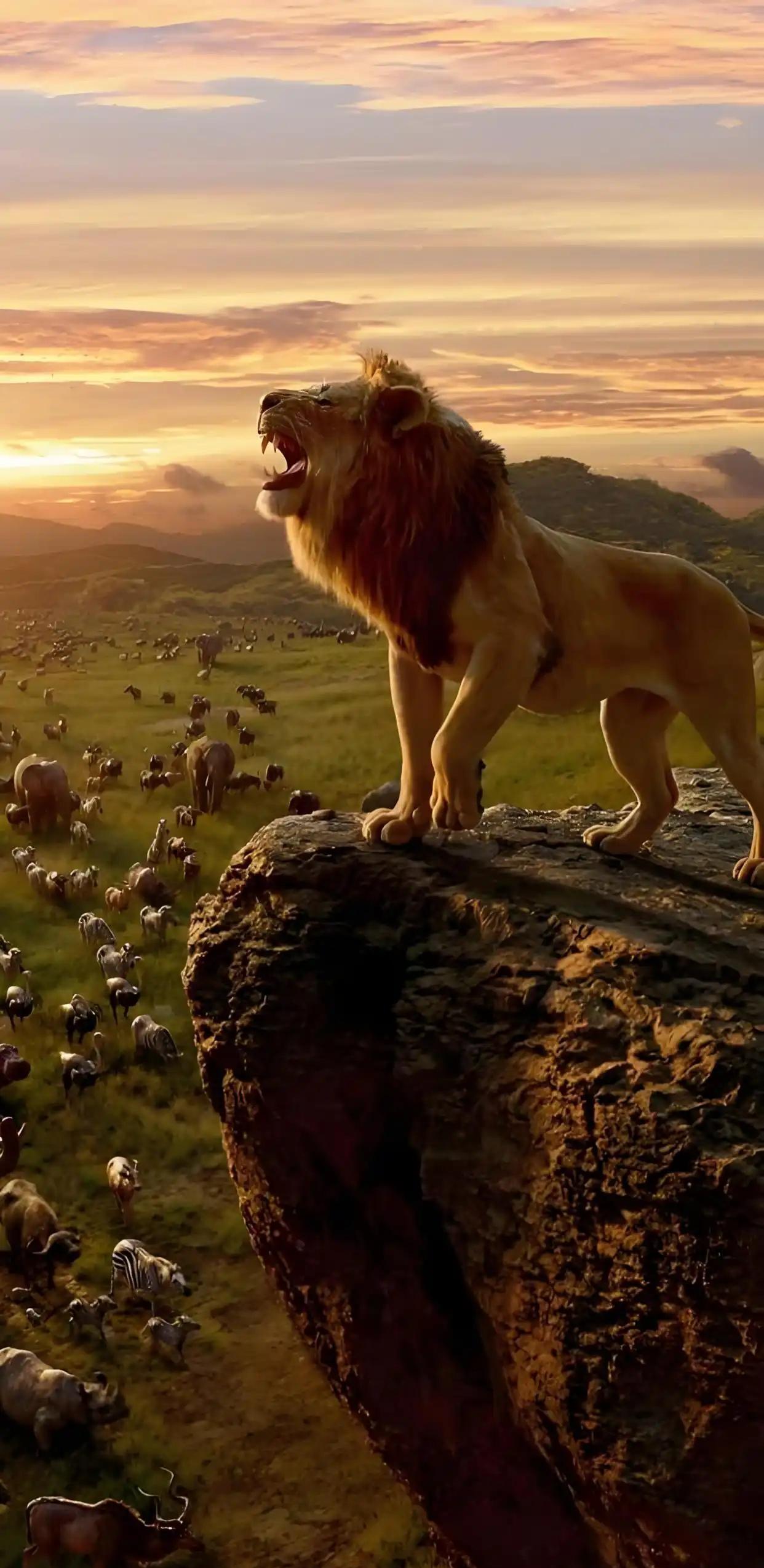 很熟悉的动画角色，说明你是八零后，1、辛巴2、葫芦娃3、妖女大姐4、