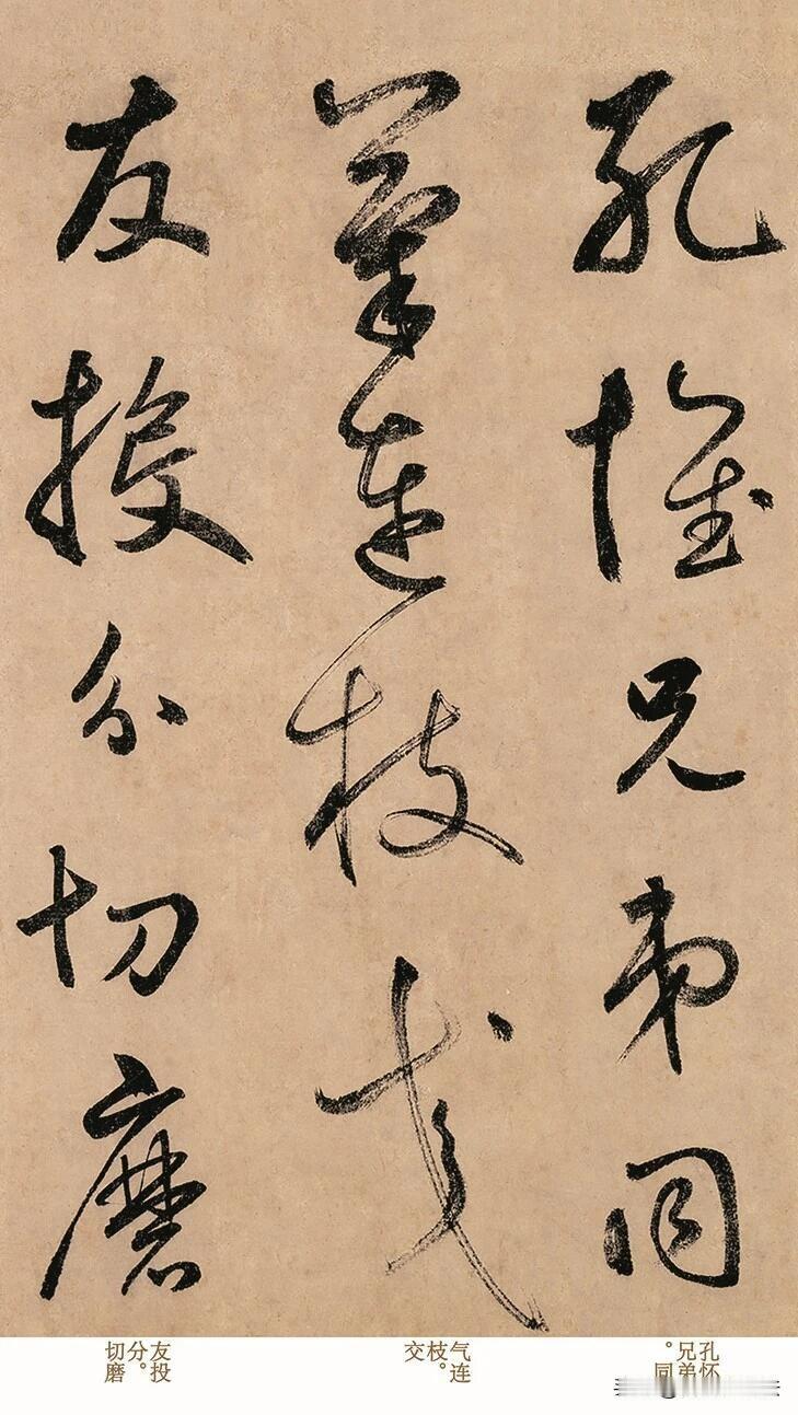 草书《千字文》笔势洒脱灵动，枯湿浓淡尽在纸上流转。笔画缠绕呼应，开合收放有度，放