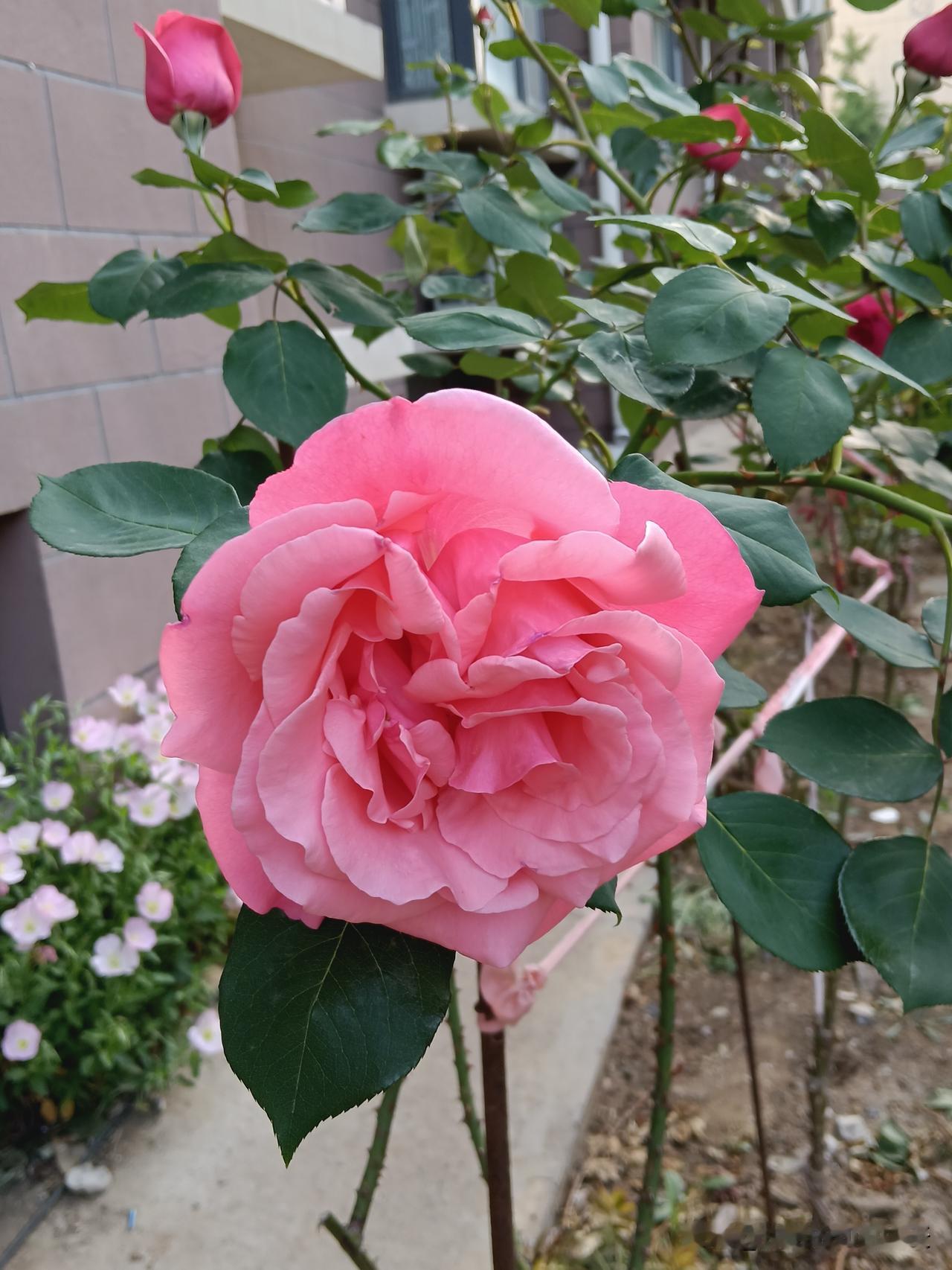 世上最好的药1、最好的防癌药是:跑步2、最好的补钙药是:晒太阳3、