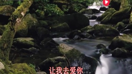 花都八历埔卧雪堂醒狮队(蟹青)_土豆视频