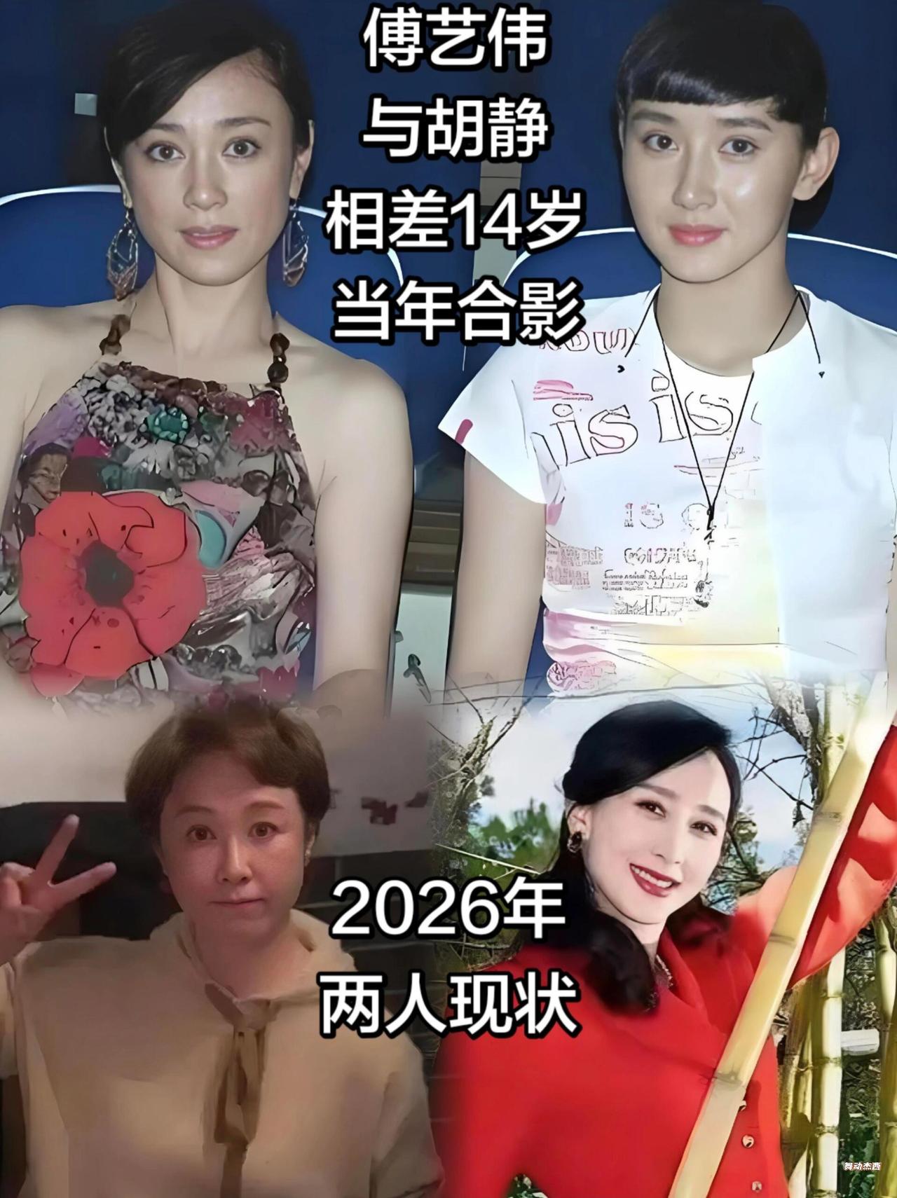 傅艺伟与胡静，一个明艳倾城，一个温婉大气同样是绝色美人，傅艺伟和胡静，如今人生