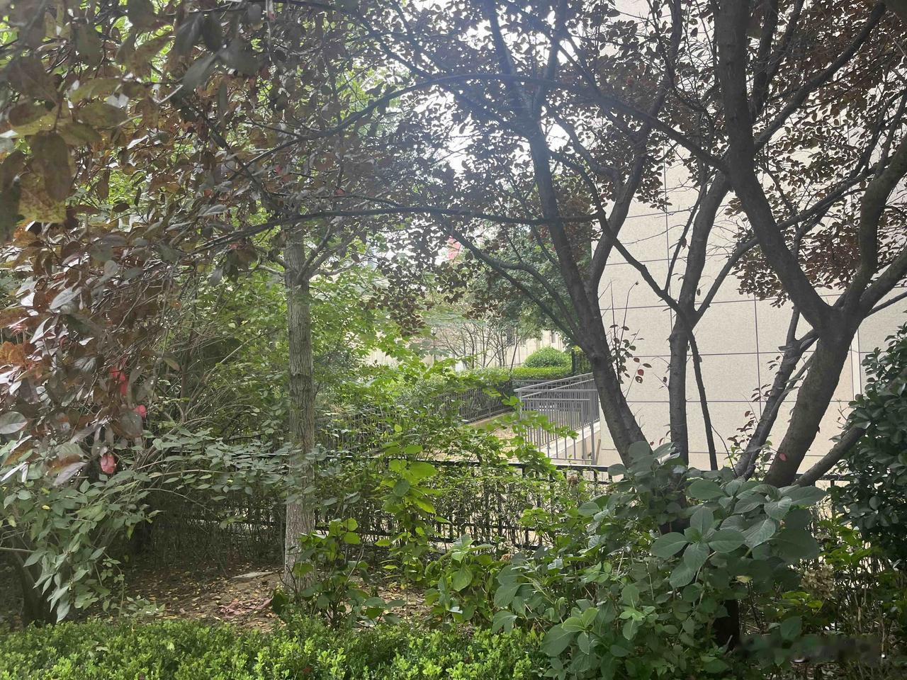 今天聊聊一楼带院这个话题。一楼带院子的房子，虽然能实现“推门见绿”的田园生活