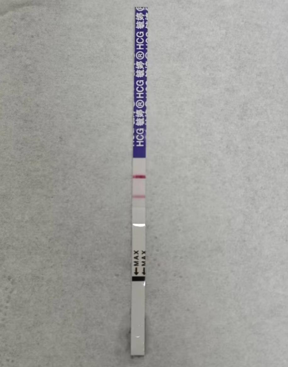 果然避孕是最好的备孕！从去年7月开始备孕到12月，整整半年时间，每个月都按时去医