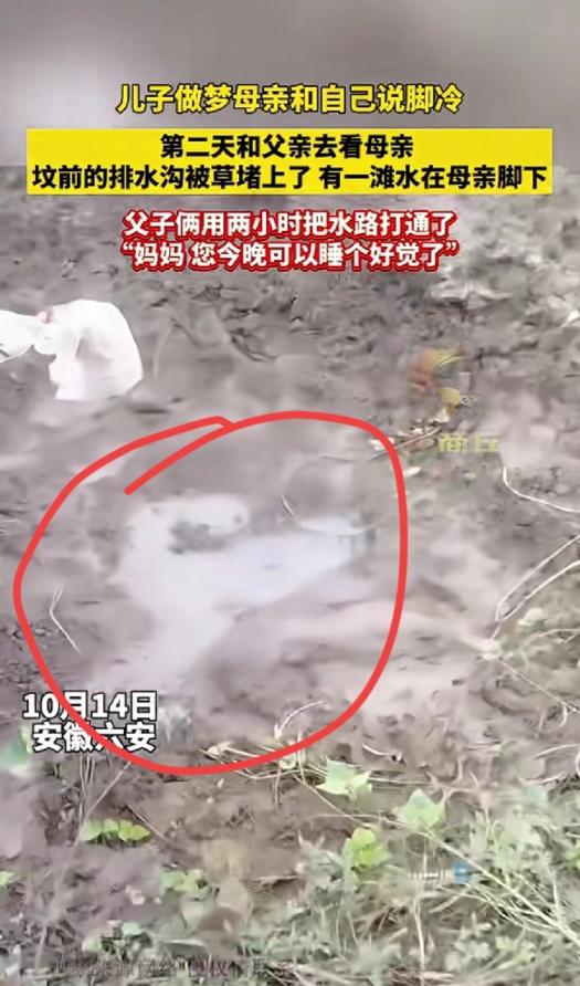“家人们谁懂啊！安徽六安一儿子做梦，妈妈跟他说脚冷。第二天和爸爸去坟前一看，好家