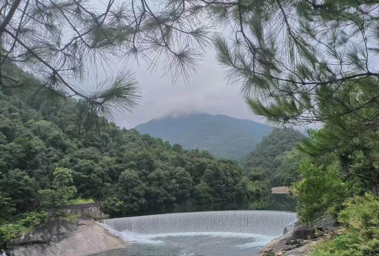 旺另一半的宝藏生肖：1、生肖鼠属鼠人天生是细节控和危机预警机！他们心思缜密，