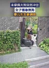 现在狗都比人金贵了吗？一女子一手牵自家小狗，一手推载有婴儿的婴儿车正常行走，突然