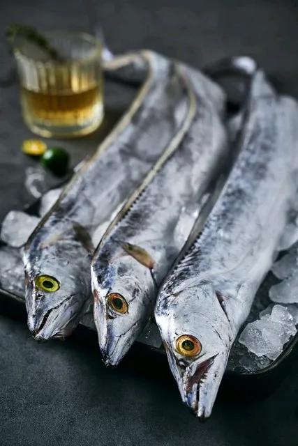 买带鱼可有门道！休渔期快结束，可得擦亮眼睛。别买黄眼睛又宽又厚的带鱼，这种大概率