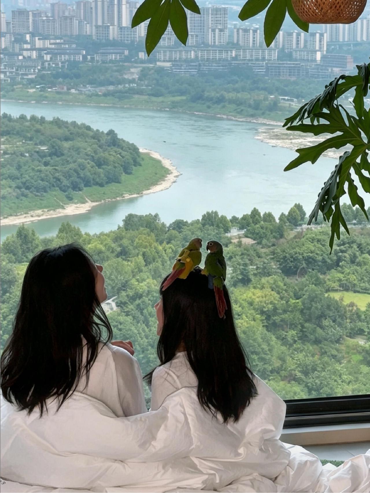重庆一位女子晒出自己家，让人看了挺羡慕，2019年，她花不算高的价格买下了一套2