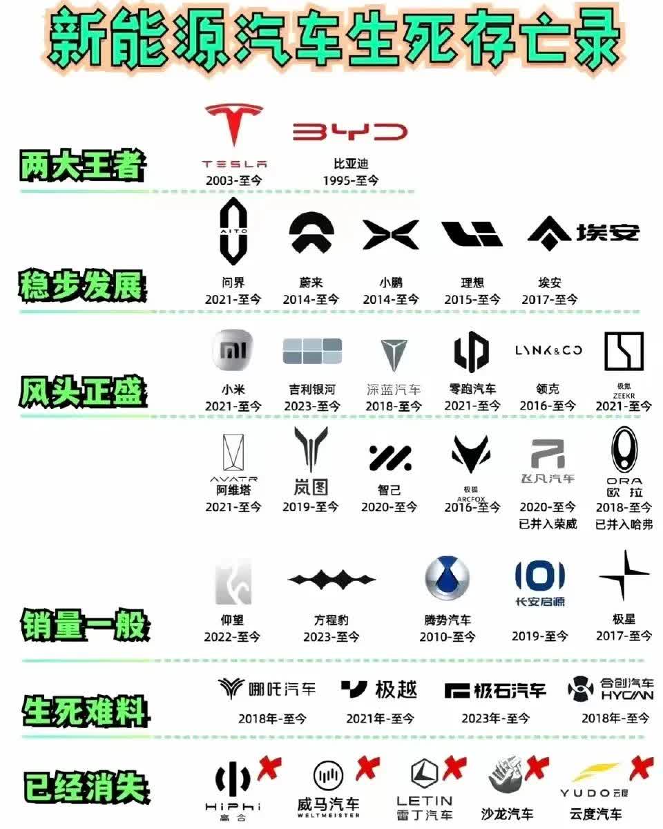 新能源汽车生死局，下一个倒闭的会是谁？比亚迪和特斯拉堪称两大王者，基本没