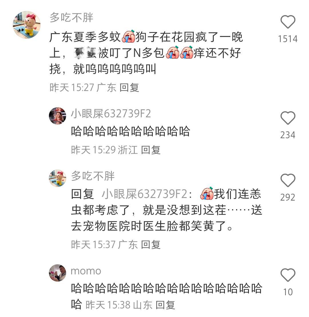原来动物也会有奇奇怪怪的病