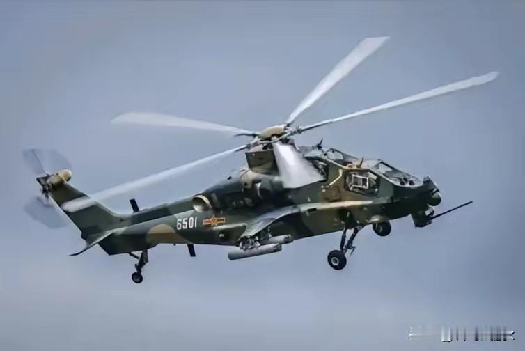 巴基斯坦本来以为捡了个大便宜，结果拿到手的却是个带着电子锁的铁疙瘩。爽！这事