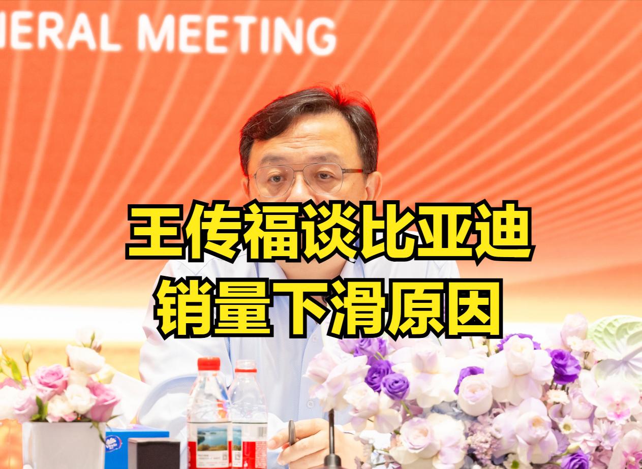 我就说了比亚迪的问题，也没见被下架，比亚迪还算是有担当的企业！今年比亚迪销量下滑