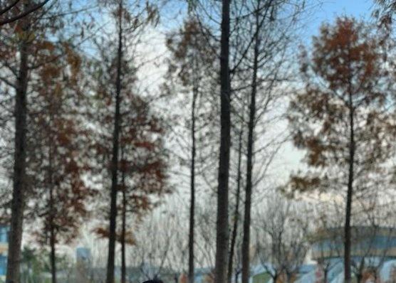 我是七四年的，今年52岁了，我现在没有一个朋友，手机也不会响一下的，而且也不喜欢