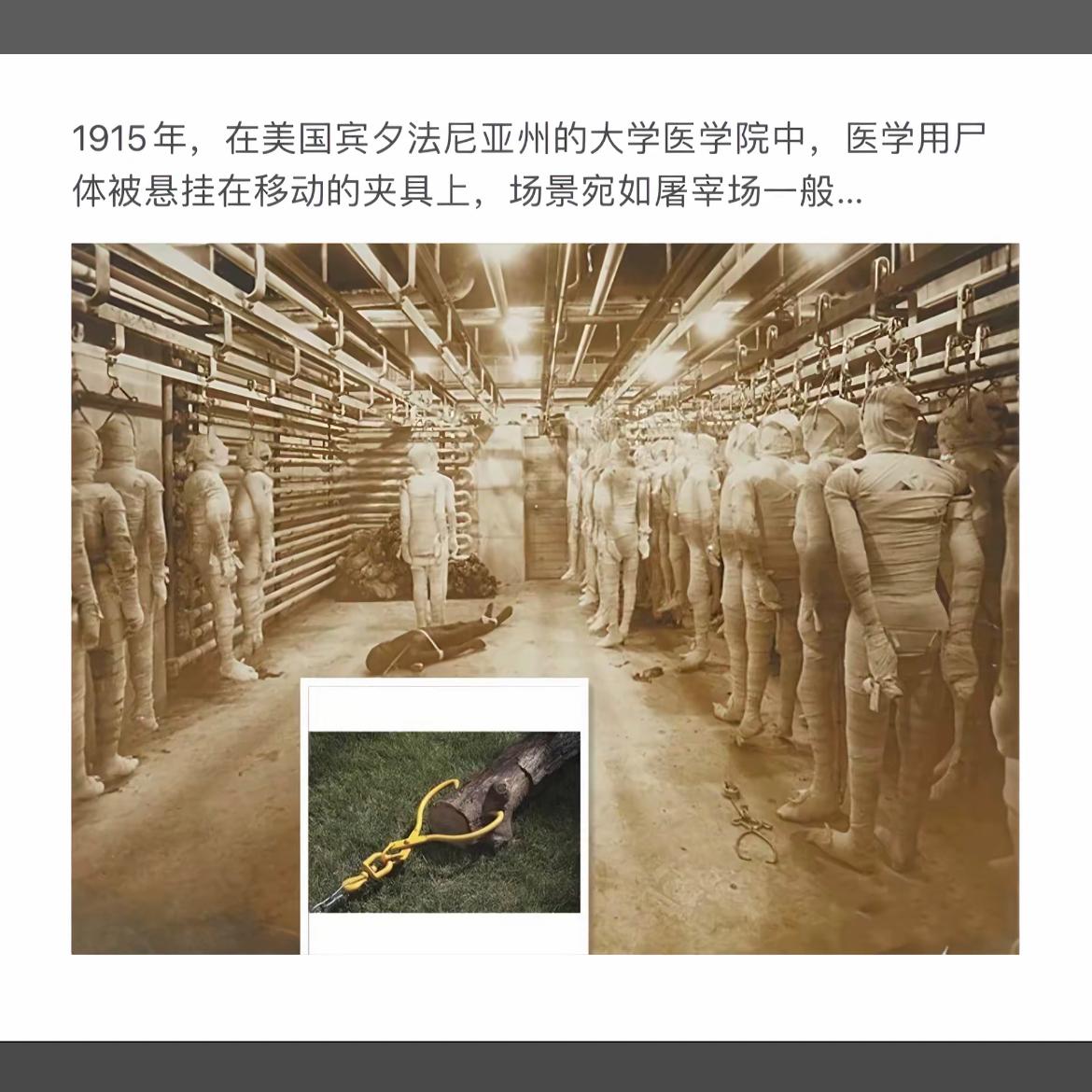 1915年，美国医学院的恐怖实验：医学尸体被悬挂，宛如屠宰场。