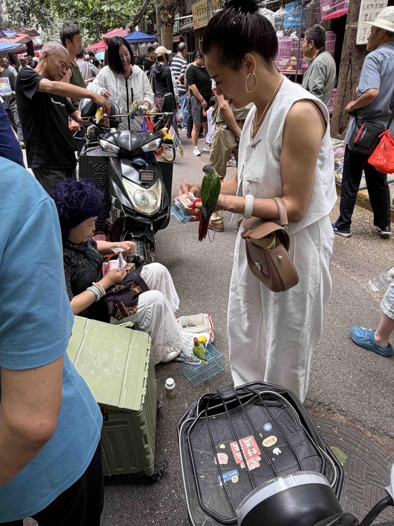 今天上午，我在西安档子上，看到一位美女正在买鹦鹉，就问她：“美女，你买的这只鹦