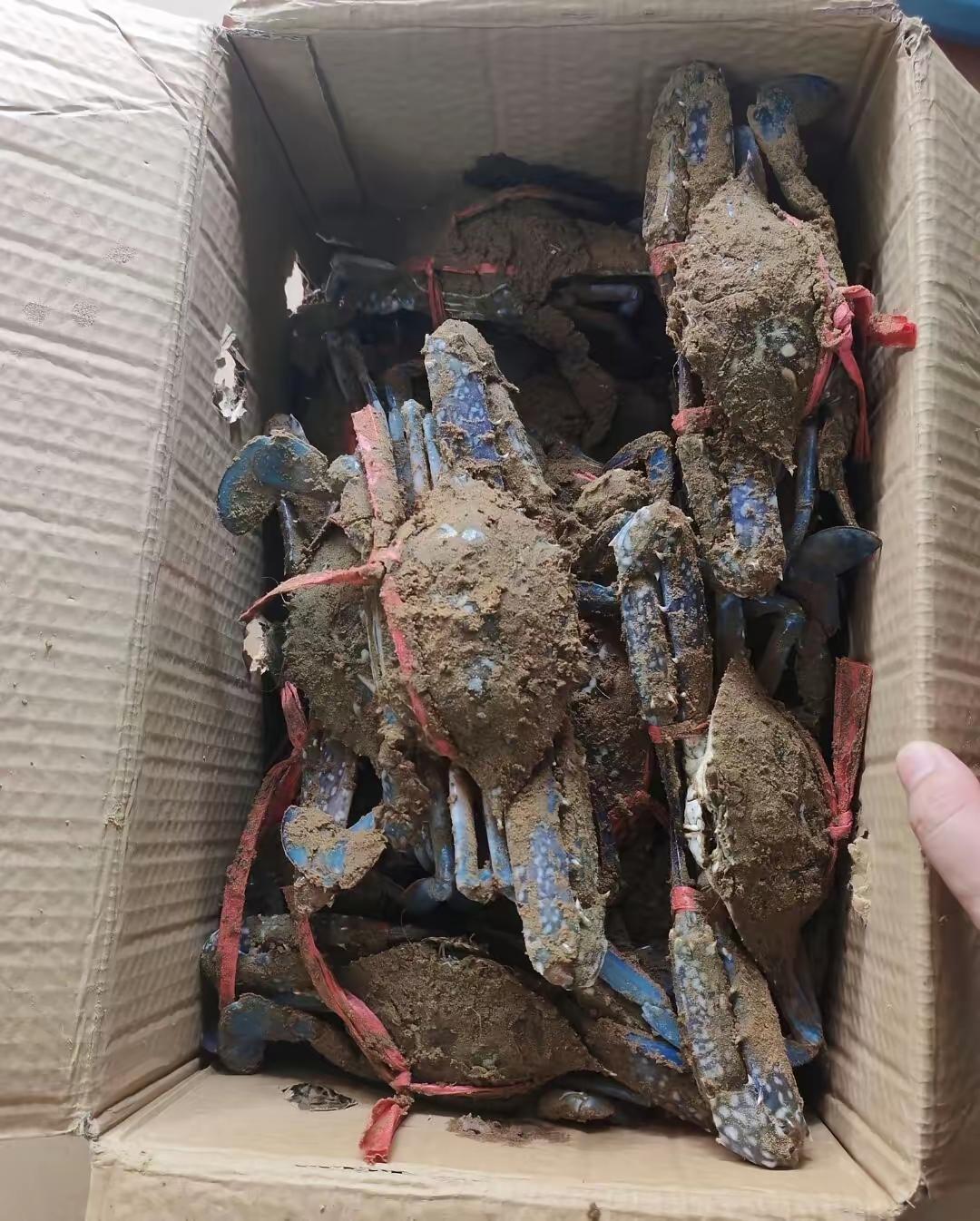邻居送的，能吃吗？这是个啥啊？