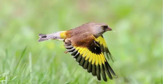 人到了六十多岁，大多都是退休人了，孩子也大了，不缺房不缺钱，追求的就是健康。健